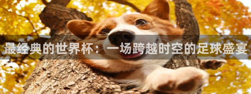 世界杯赛程表：最经典的世界杯：一场跨越时空的足球盛宴