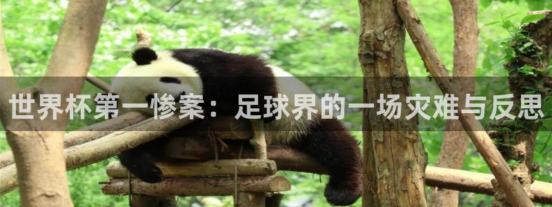 世界杯2026赛程表:世界杯第一惨案:足球界的一场灾难与反思