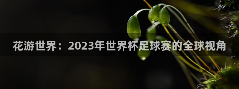 世预赛欧洲赛程表：花游世界：2023年世界杯足球赛的全球视角