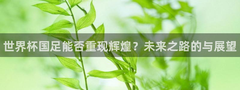 2026世界杯买球：世界杯国足能否重现辉煌？未来之路的与展望
