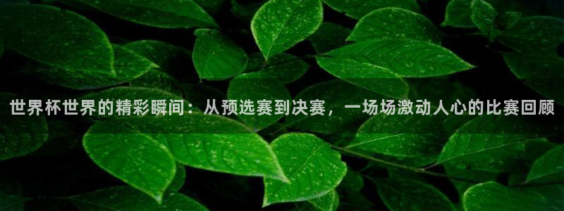 亚洲杯比赛直播:世界杯世界的精彩瞬间:从预选赛到决赛,一场场激动人心的比赛回顾