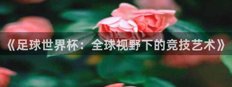 世界杯 2026:《足球世界杯:全球视野下的竞技艺术》