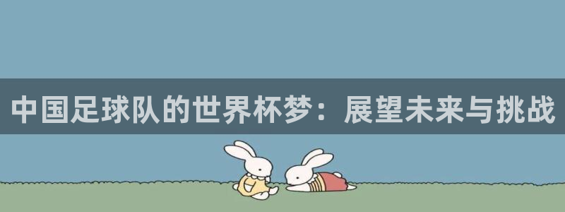 2026世界杯南美区积分榜：中国足球队的世界杯梦：展望未来与挑战