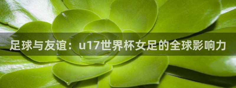 足球世界杯：足球与友谊：u17世界杯女足的全球影响力