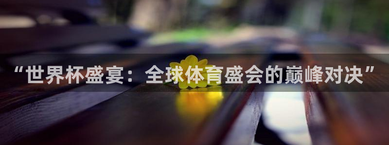 2026世界杯赛程：“世界杯盛宴：全球体育盛会的巅峰对决”