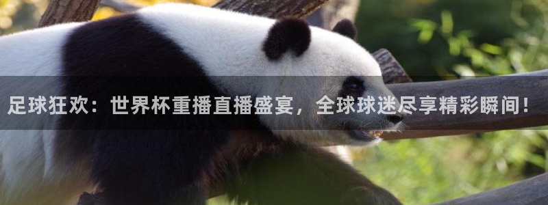 今天所有足球赛程表：足球狂欢：世界杯重播直播盛宴，全球球迷尽享精彩瞬间！