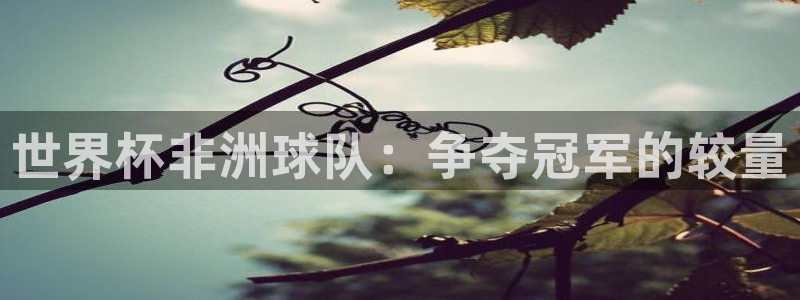 世界杯欧洲区预选赛赛程：世界杯非洲球队：争夺冠军的较量